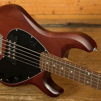 Sterling RAY5 SUB Series StingRay 5 Bass - Walnut Satin image 5