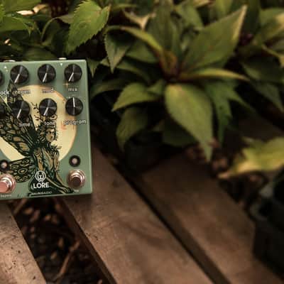 Walrus Audio Lore Reverse Soundscape Generator Pedal image 8