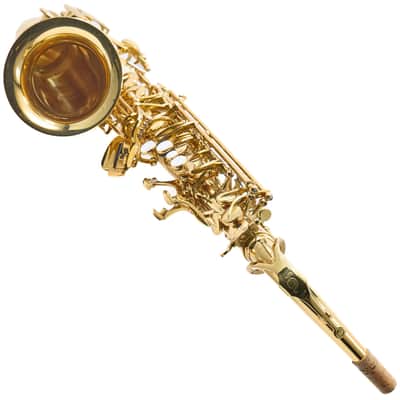 Giardinelli by Eastman GAS10 Alto Saxophone in Gold Lacquer SN 11533980 image 20