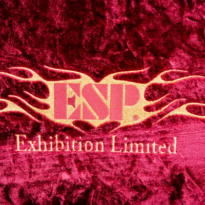 2017 ESP Stream-GT CTM Exhibition Limited, NAMM Exclusive  - 1 of 1 image 6