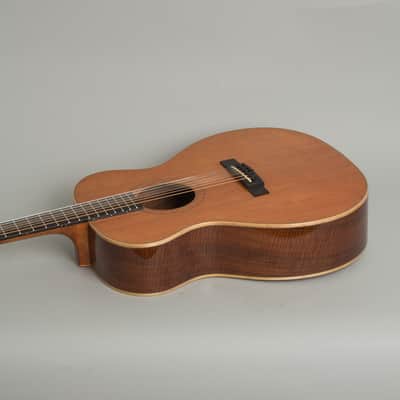 Circle Strings  A-1 10 String Acoustic Flat Top Guitar (2018), ser. #119, original molded white plastic hard shell case. image 7