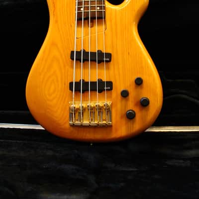 Fernandes APB-5 FRB 100 String Bass 1993 Vintage Natural Made in Japan image 1