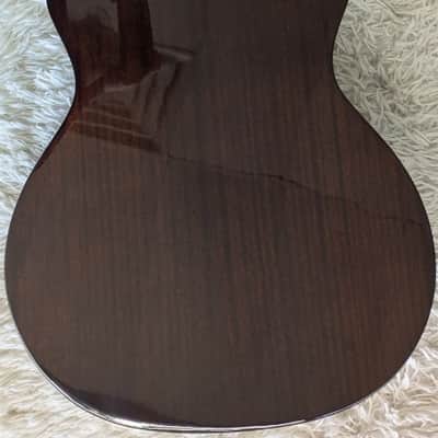 Recording King RGA-G6CFE5 Solid Top Grand Auditorium Acou/Elec Cutaway Guitar image 7