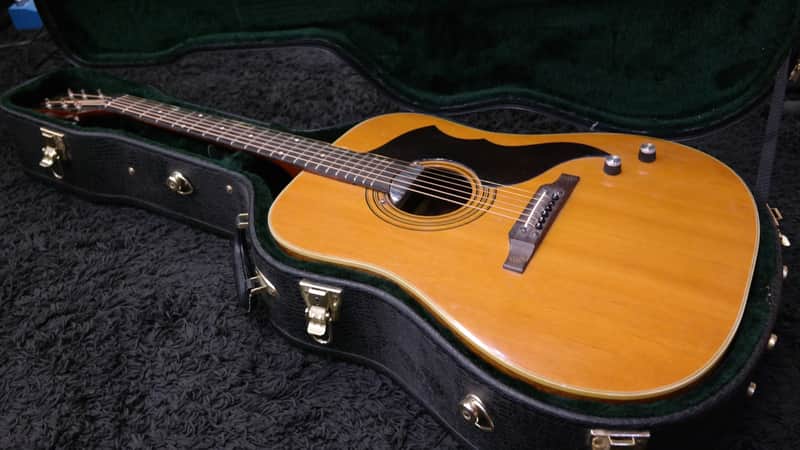 Eko Ranger VI Electroacoustic (Hard Case included) image 1