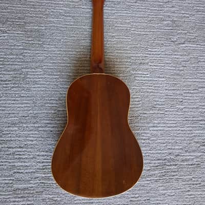 Rozini Paulistinha Cavaquinho image 2
