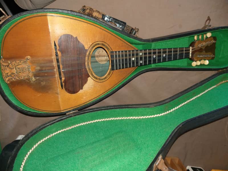 C. Bruno mandolin 1890's - origional image 1
