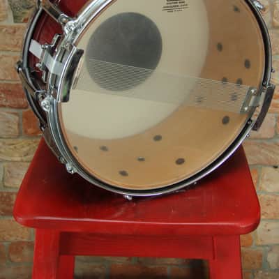 Pearl MLX All Maple Shell 14x6.5 Japan image 10