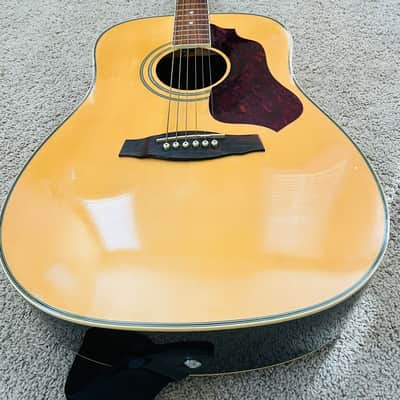 Ibanez SGT120 Sage Acoustic Guitar image 9