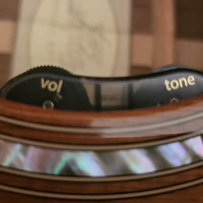 Taylor GC7 with L. R. Baggs HiFi Electronics image 20
