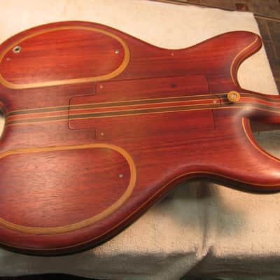 The Joker.THE Guitar! image 8