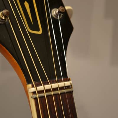 Eko Explorer -VIDEO- True Vintage Made in Italy (Hofner, Valco, Silvertone, Vox) image 9