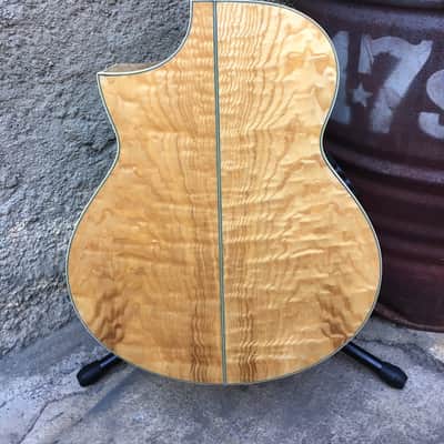 ibanez EW20ASENT1202 エレアコ ソフトケース付き Ibanez EW20ASENT1202 With Hard Case | Reverb