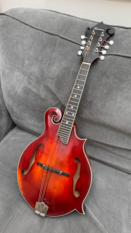 Eastman MD515/V Mandolin (Varnish finish) + Hard case image 1