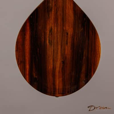 2014 Condino A style Mandolin, Brazilian Rosewood/Adirondack Spruce image 4