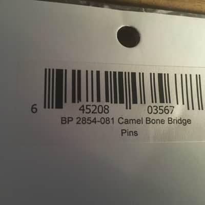 Allparts Bone Bridge Pins w/Abalone Inlay Dots - Crazy Fast FREE Shipping!!! image 3