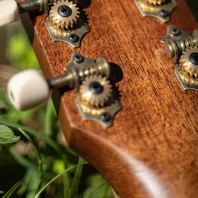 Cort Core-PE Mahogany Parlor All Solid Acoustic Guitar Fishman image 9