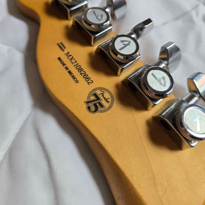 Fender Player Plus Nashville Telecaster with Maple Fretboard 2021 - Present - Butterscotch Blonde image 13
