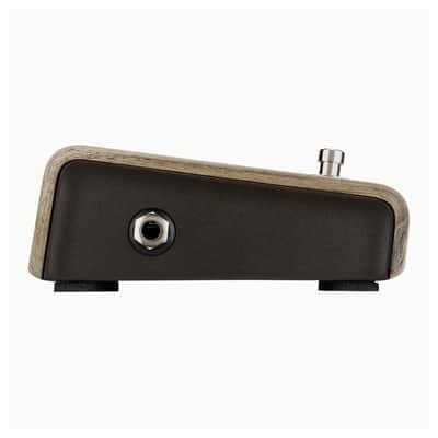 LR Baggs Align Series Active DI Acoustic Pedal Bundle w/ 12x Picks and Liquid Audio Polishing Cloth image 5