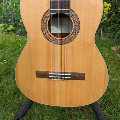Rivertone SC-162 Classical Guitar image 2