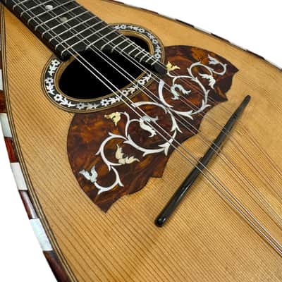 Concert Mandolin (Embergher School) G. Cacchione & Figli 1910s image 6