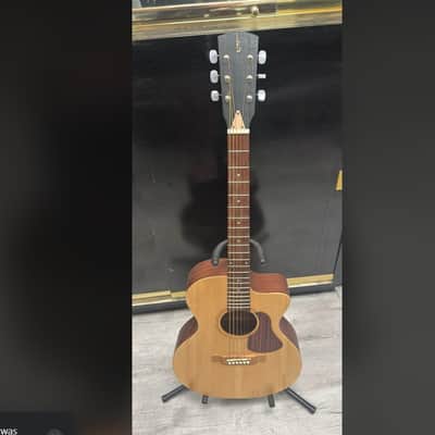 Antonio Hermosa EA100 CW Acoustic Guitar image 1