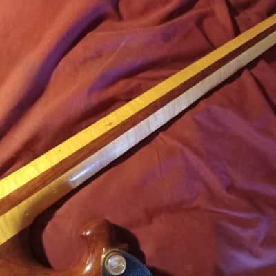 Olivo, Rare 80's, Alembic style, 1982-83 - Clear gloss finish over Padauk image 7