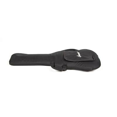 Danocaster Esquire Owned by Nathaniel Rateliff image 24