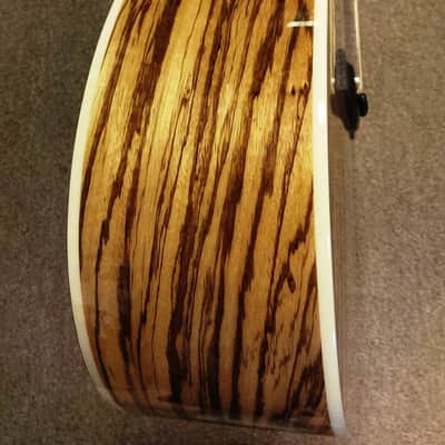 Fender CD-220CE All Zebrano 6-string Acoustic-Electric Guitar, Mahogany, Fishman image 12
