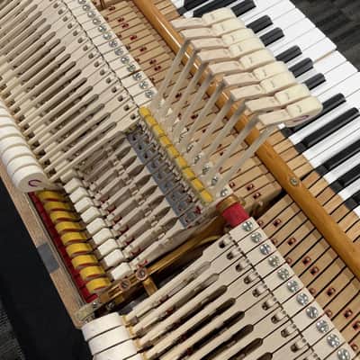 Steinway Model O 5'10" Grand Piano 1910 (Restored) - Polished Mahogany image 22