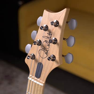 New PRS Silver Sky Maple - Frost image 7