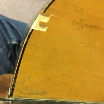 Sears Catalina Classical 1960-70’s (VIDEO) Harmony Kay image 10