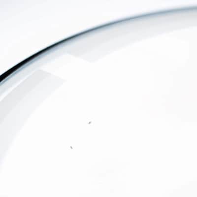 22 Inch Bass Drum Head | Coated Clear Single Ply Percussion Skin | Silkscreened Edge Damping Ring | Aluminum Hoop Drum Kit Accessory image 3