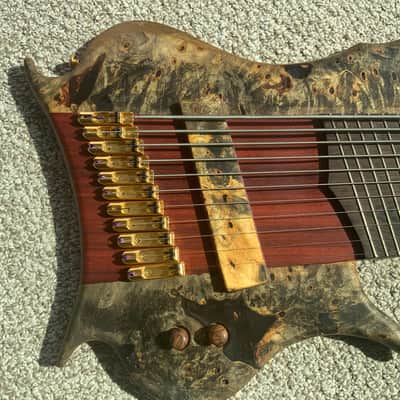 Prometeus Namour 2016 - 11- string Contra bass image 2