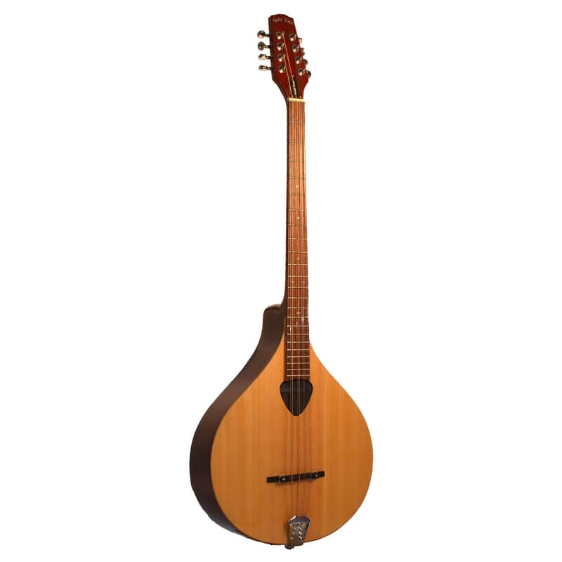 Gold Tone Irish Bouzouki Mandolin w/Case image 1