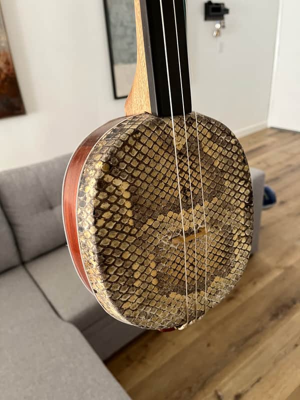 Mongolian Shanz/Shadruga (like Sanxian/Shamisen) – Fretless Folk Banjo image 1
