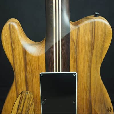 Halo Guitars SALVUS 7-string (27") Bare Knuckle Aftermath, Evertune, Neck Through, Burl Top 🤘🏻 image 6