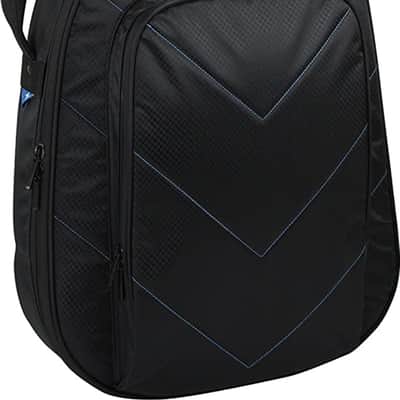 Reunion Blues RBX-335 Semi Hollow Electric Guitar Gig Bag, Black image 1