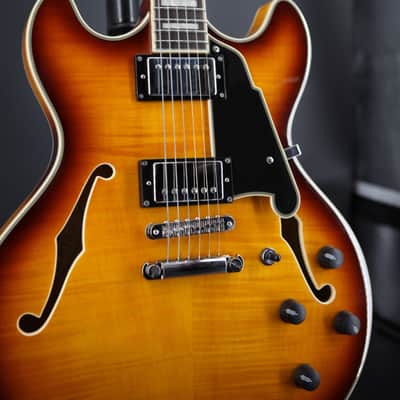 D'Angelico Premier DC Semi-Hollow Double Cutaway with Stop-Bar Tailpiece 2023 - Present - Dark Iced Tea Burst image 6