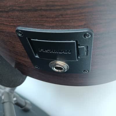 Martin X-Series Custom w/Bag image 5