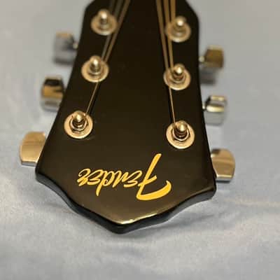 Fender acoustic image 8