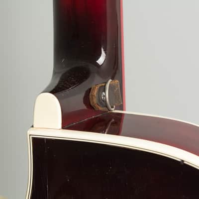 Framus Grand Star Black Rose Model 5/125 Arch Top Hollow Body Electric Guitar (1962), original black hard shell case. image 17