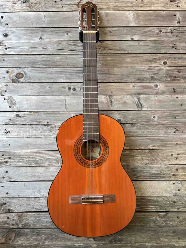 Eko vintage classical guitar 1960s made in italy image 1