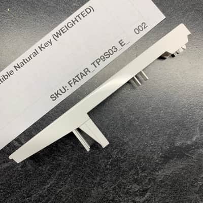 Fatar Replacement Weighted E Key (TP/9S Keybeds) for Sequential Prophet-6, Access Virus Indigo 2/TI Polar, Moog Grandmother/Matriarch, Oberheim OB-X8/OB-6/TVS Pro, Waldorf Blofeld/Microwave XTk, Ensoniq Fizmo, & more image 2