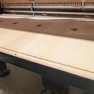 Yamaha C3X 2023 - Polished Ebony image 9