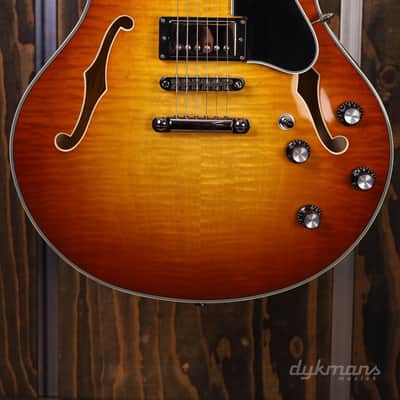 Eastman T-486 Gold Burst image 1