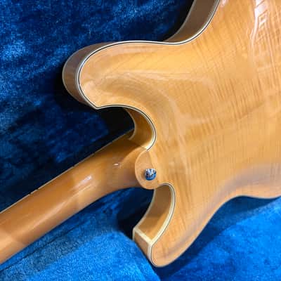 Yamaha SA-50 Hollow Body 1969 - Natural image 10