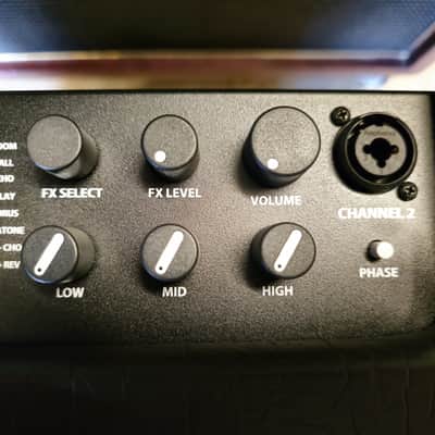 Fender Acoustic SFX II image 9