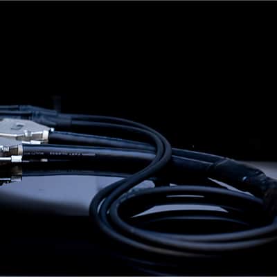 Summing Cable Mixer | D-Sub 16 Inputs | 2 XLR Outputs | Balanced | Analog Summing | Mogami Loom image 8