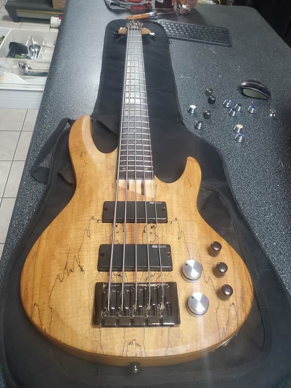ESP LTD ACTIVE 5 string Bass Spalted Maple with EXTRAS **minty** image 1