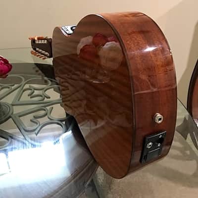 Cathedral 10 string clasical guitar 2013 with midi pickup image 3